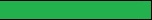 Belt Green