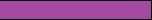 Belt Purple